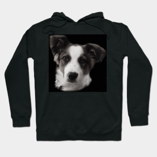 Charly Australian Shepherd Mix Hoodie